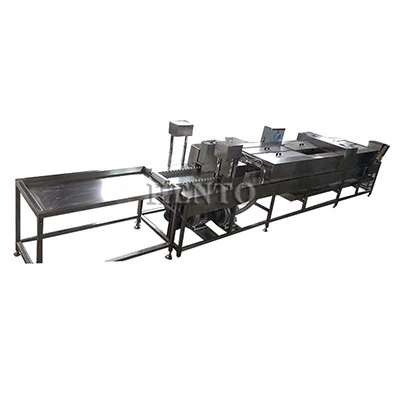 Egg Washing Processing Line