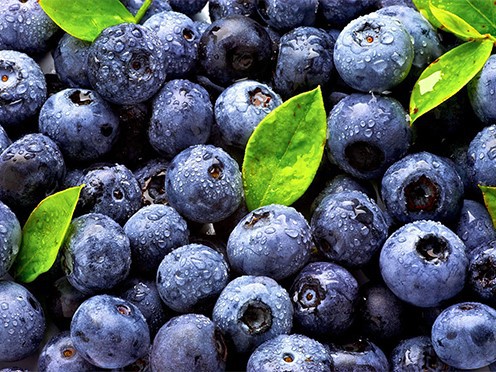 Blueberry Grading Machine Blueberry Grading Machine