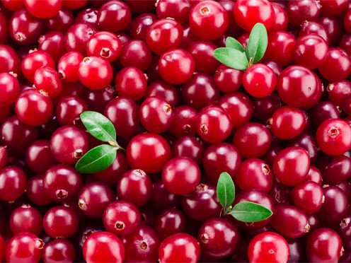 Cranberry Grading Machine Cranberry Grading Machine