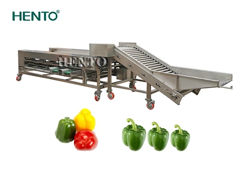 Machine de tri de fruits – Solution de classement automatisée pour toutes sor...