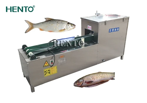 Introduction à la machine à éviscérer les petits poissons