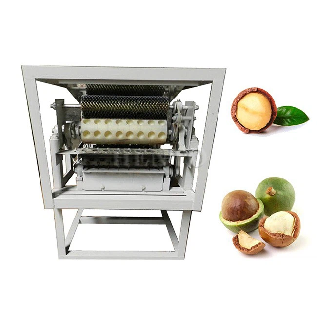 Macadamia Nut Cutter