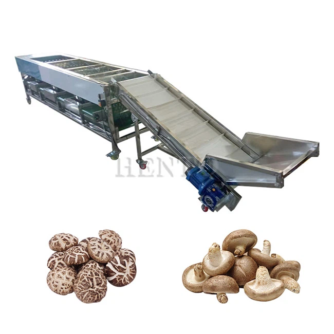 Machine à tri des champignons